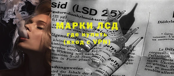 ПСИЛОЦИБИНОВЫЕ ГРИБЫ Бородино