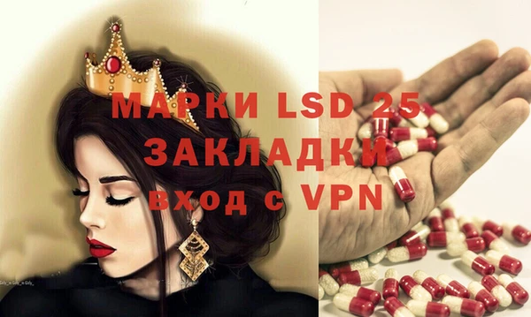 шишки Балахна