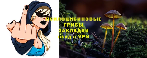 соль курить ск Богородицк